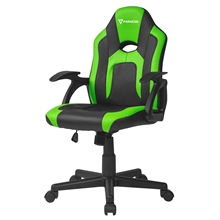 Paracon JUNIOR Kids Gaming Chair - Green